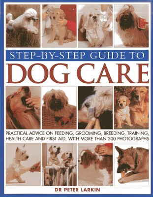 Step-By-Step Guide To Dog Care Step-By-Step Guide To Dog Care