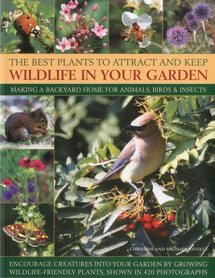 Best Plants to Attract and Keep Wildlife in Your Garden Best Plants to Attract and Keep Wildlife in Your Garden