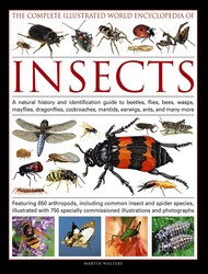 The Illustrated World Encyclopedia of Insects | Book by Martin