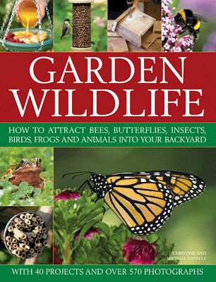 Garden Wildlife Garden Wildlife