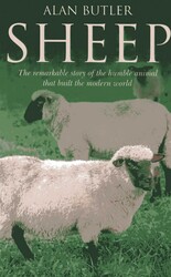 Sheep Sheep