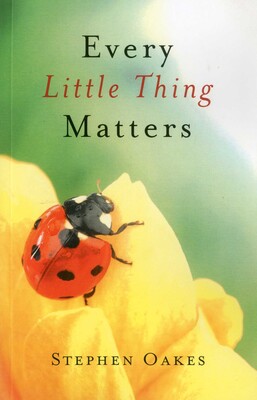 Every Little Thing Matters Every Little Thing Matters