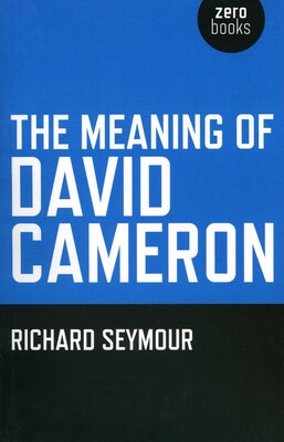 Meaning of David Cameron