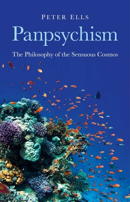 Panpsychism Panpsychism