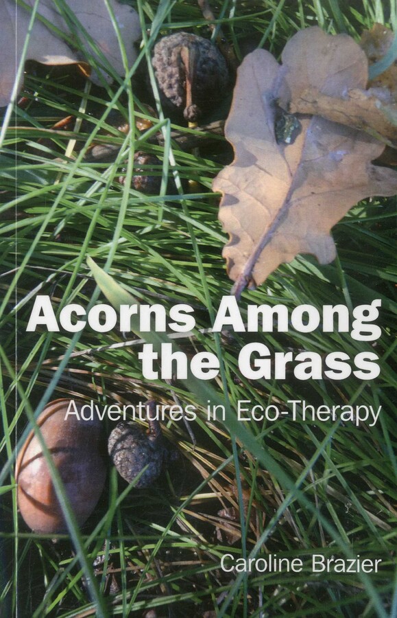 Acorns Among the Grass