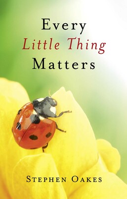 Every Little Thing Matters Every Little Thing Matters
