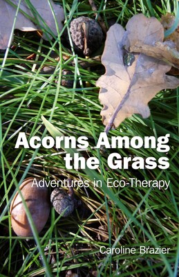 Acorns Among the Grass Acorns Among the Grass