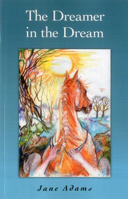 Dreamer in the Dream Dreamer in the Dream