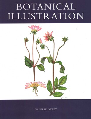 Botanical Illustration Botanical Illustration