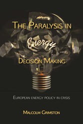 Paralysis in Energy Decision Making