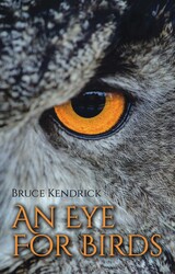 An Eye for Birds An Eye for Birds