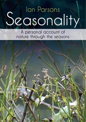 Seasonality Seasonality