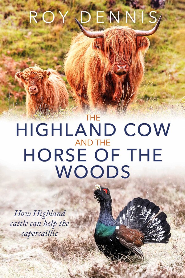 Highland Cow and the Horse of the Woods