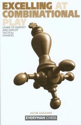 Excelling at Combinational Play Excelling at Combinational Play