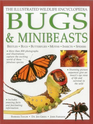 Illustrated Wildlife Encyclopedia: Bugs & Minibeasts | Book by