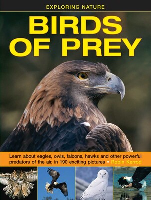 Exploring Nature: Birds of Prey Exploring Nature: Birds of Prey