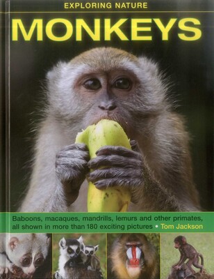 Exploring Nature: Monkeys Exploring Nature: Monkeys