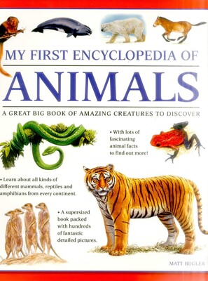 My First Encylopedia of Animals My First Encylopedia of Animals