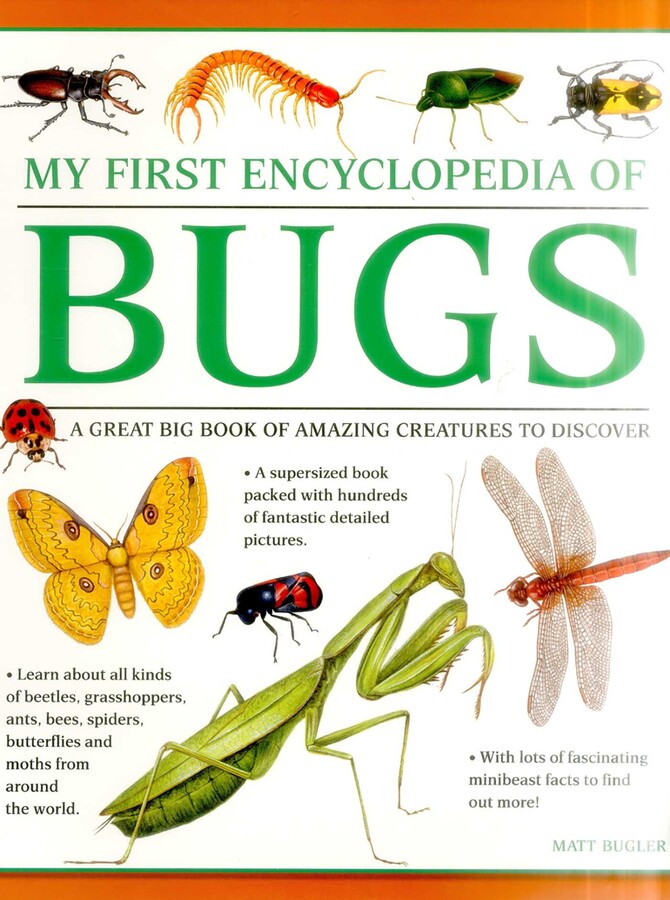 My First Encylopedia of Bugs