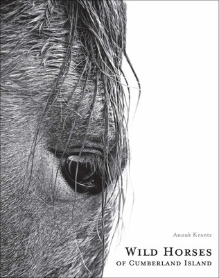 Wild Horses of Cumberland Island | Book by Anouk Masson Krantz