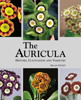 Auricula: History, Cultivation and Varieties Auricula: History, Cultivation and Varieties