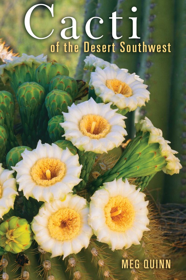 Cacti of the Desert SW
