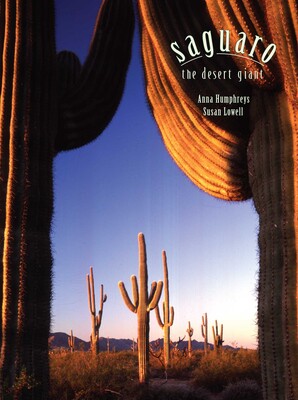 Saguaro Saguaro