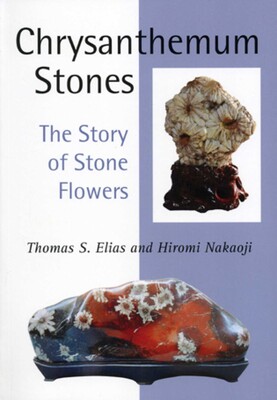 Chrysanthemum Stones Chrysanthemum Stones