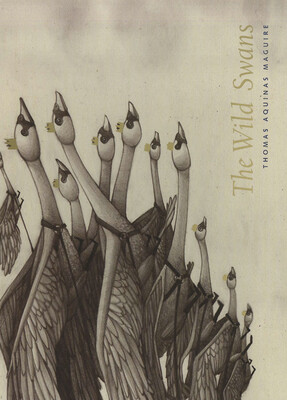 Wild Swans Wild Swans