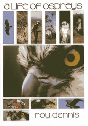 Life of Ospreys Life of Ospreys