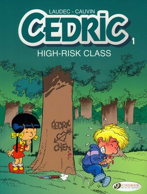High-Risk Class High-Risk Class