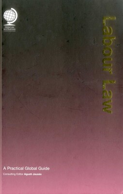 Labour Law Labour Law