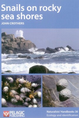 Snails on Rocky Sea Shores Snails on Rocky Sea Shores