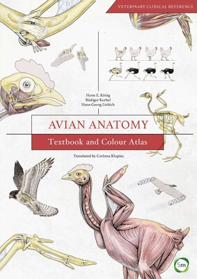 Avian Anatomy 2nd Edition Avian Anatomy 2nd Edition