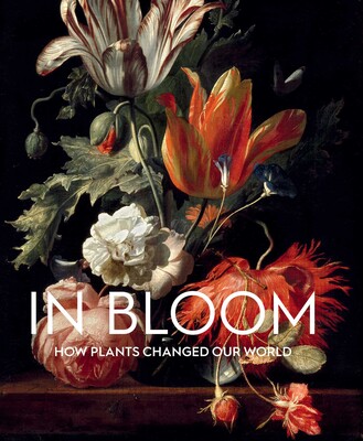 In Bloom In Bloom