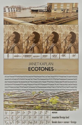 Ecotones Ecotones