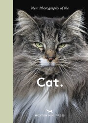 New Photography of the Cat. New Photography of the Cat.