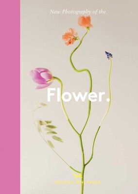 New Photography of the Flower. New Photography of the Flower.