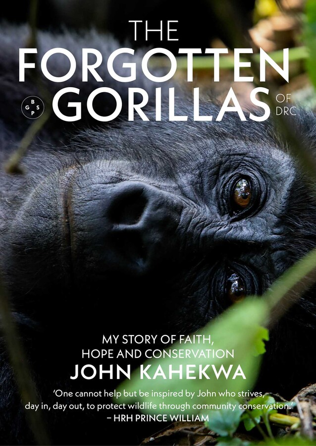 Forgotten Gorillas of DRC