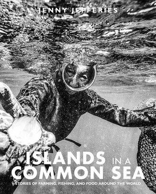 Islands In A Common Sea Islands In A Common Sea