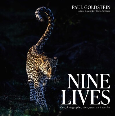 Nine Lives Nine Lives