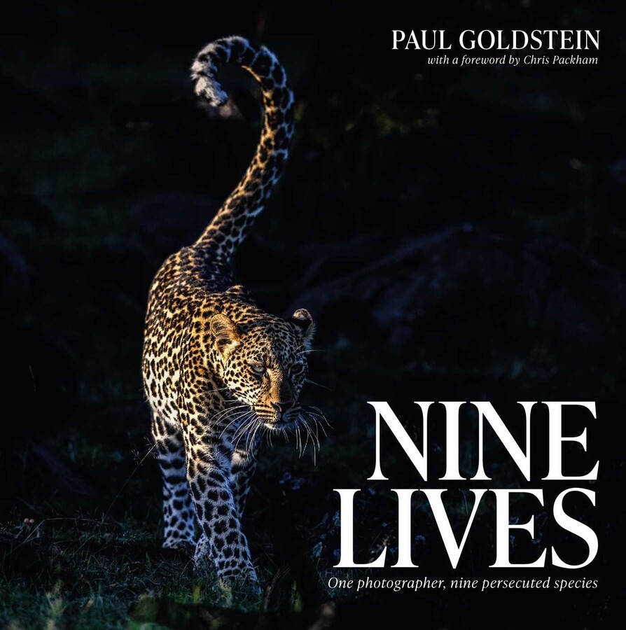 Nine Lives
