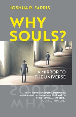 Why Souls? Why Souls?