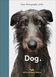 New Photography of the Dog.