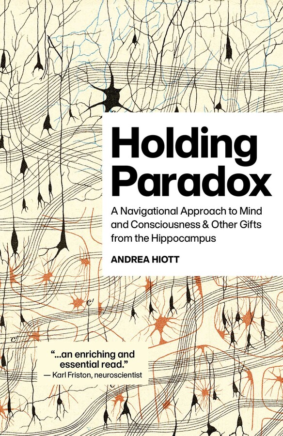 Holding Paradox