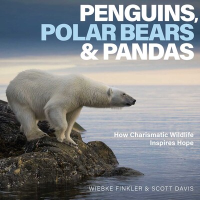 Penguins, Polar Bears & Pandas Penguins, Polar Bears & Pandas