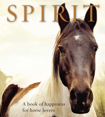 Spirit Spirit