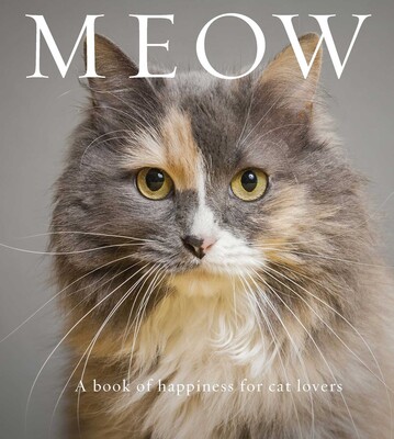 Meow Meow