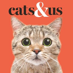 Cats & Us Cats & Us