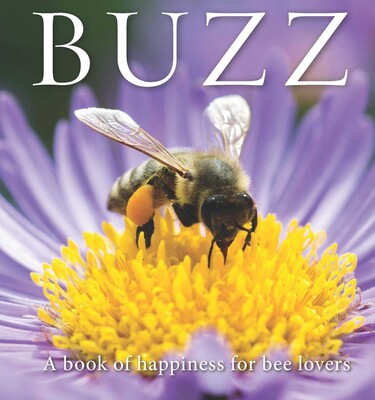 Buzz Buzz